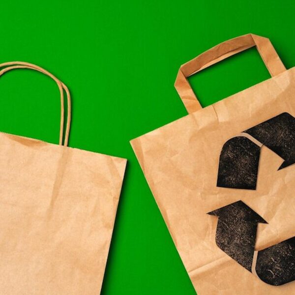 Paper Bags